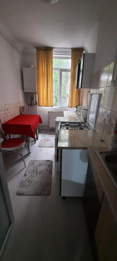 Apartament La Denis Bîrlad Buitenkant foto